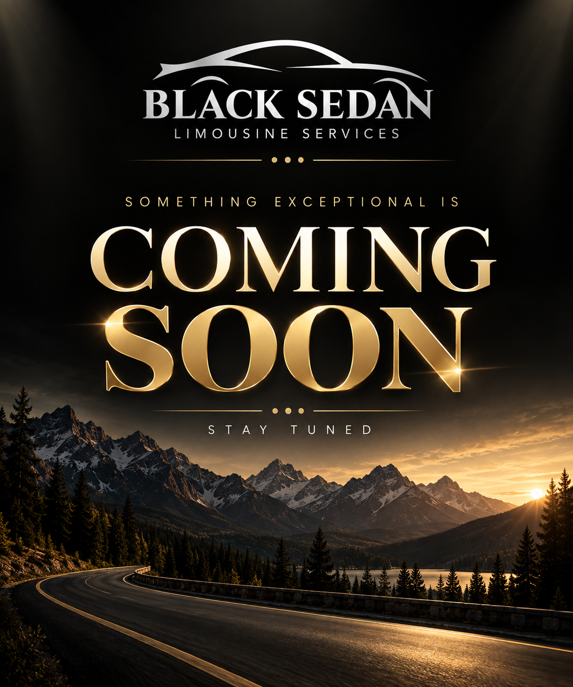 Black Sedan Limousine Services. Something exceptional is coming soon. Stay tuned.